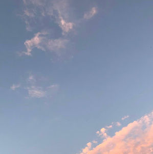 Meet your Posher, Jacey